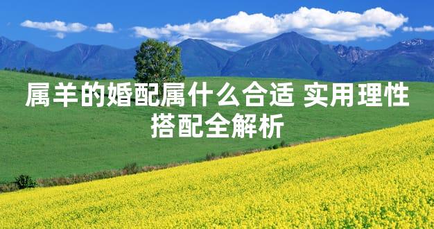 属羊的婚配属什么合适 实用理性搭配全解析